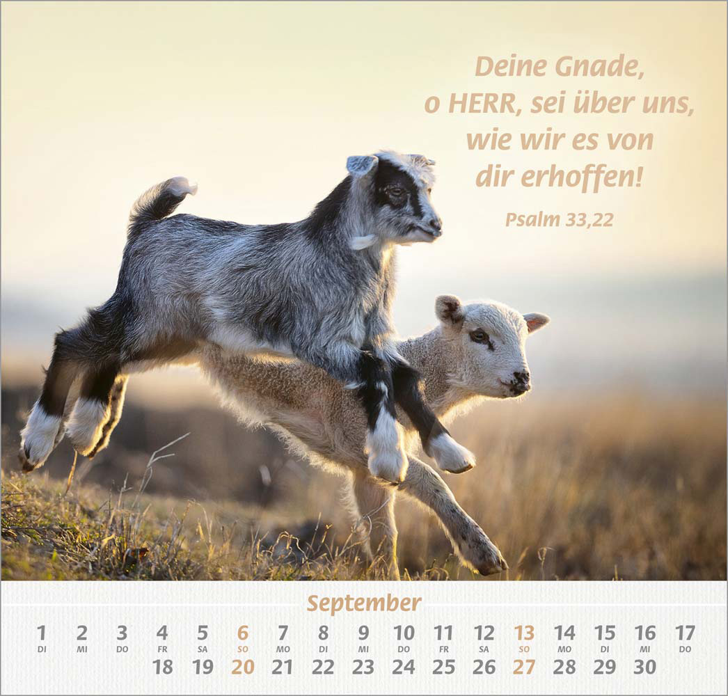 Ich hab dich gern 2026 - Wandkalender