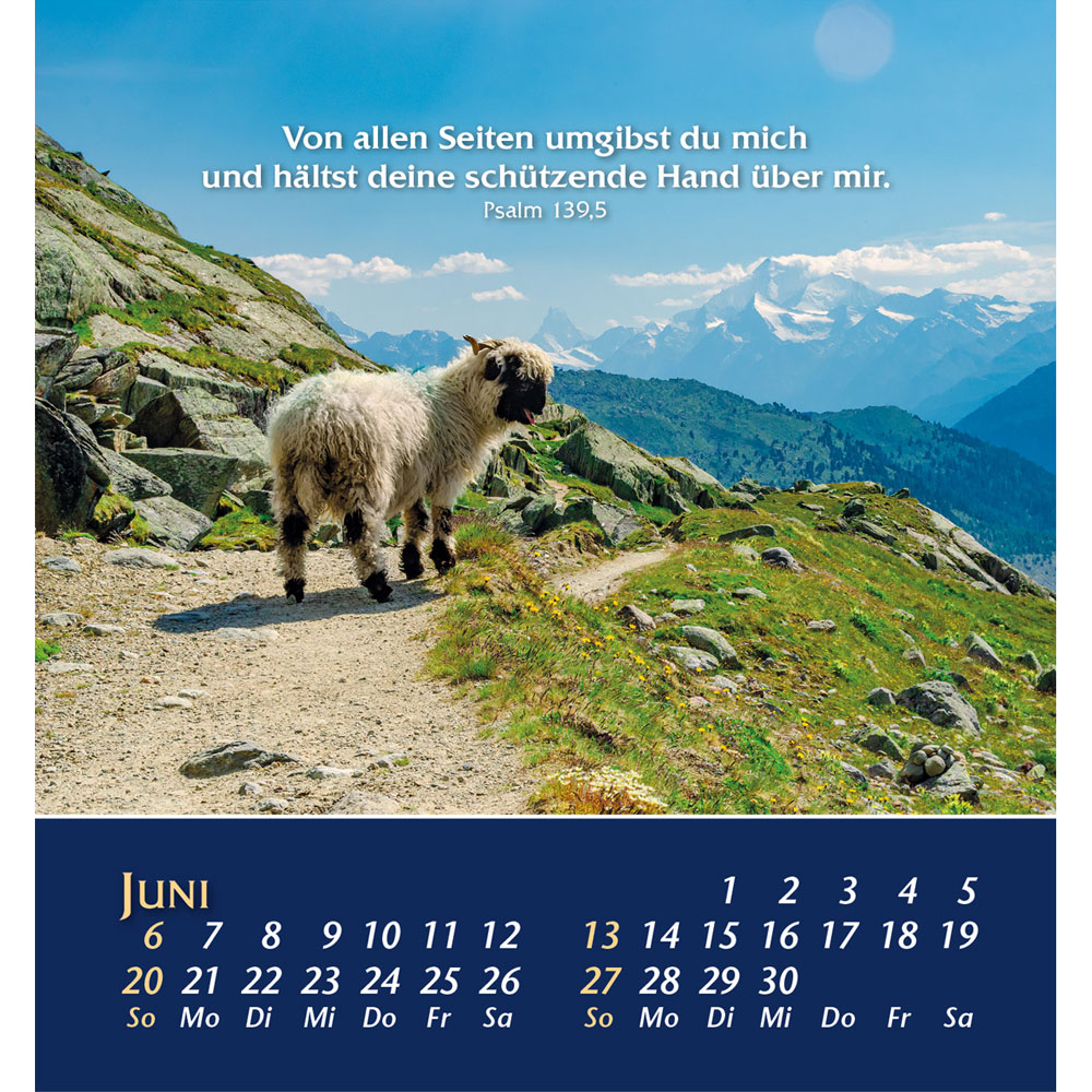 Aus der Stille leben 2027