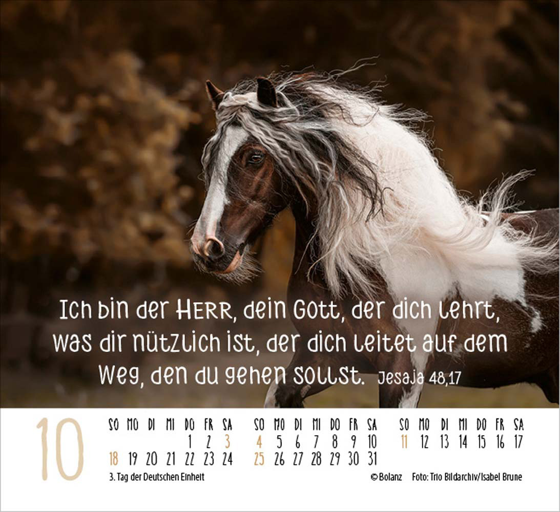Pferde 2026 - Minikalender  