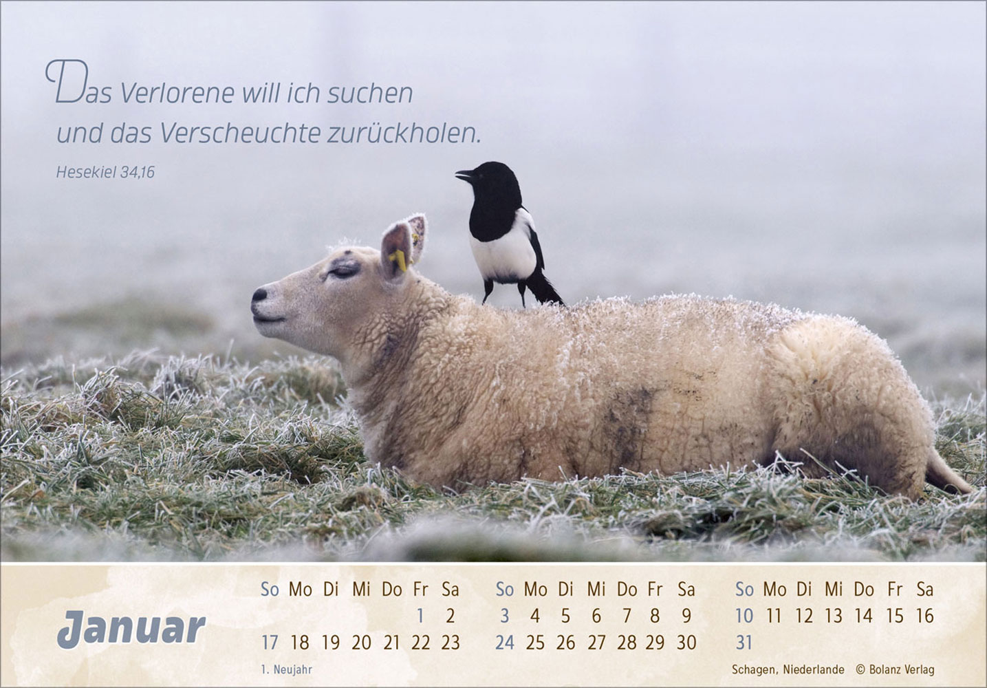 Der Gute Hirte 2027 - Postkartenkalender
