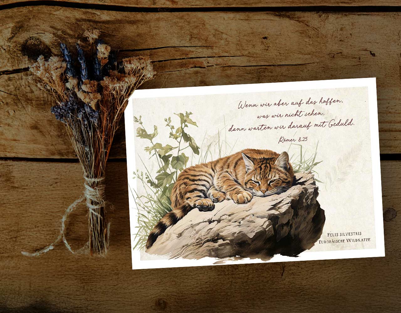 Postkarte "Warten mit Geduld"