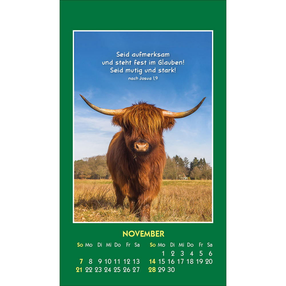 Hallo Du 2027 - Aufkleber-Kalender