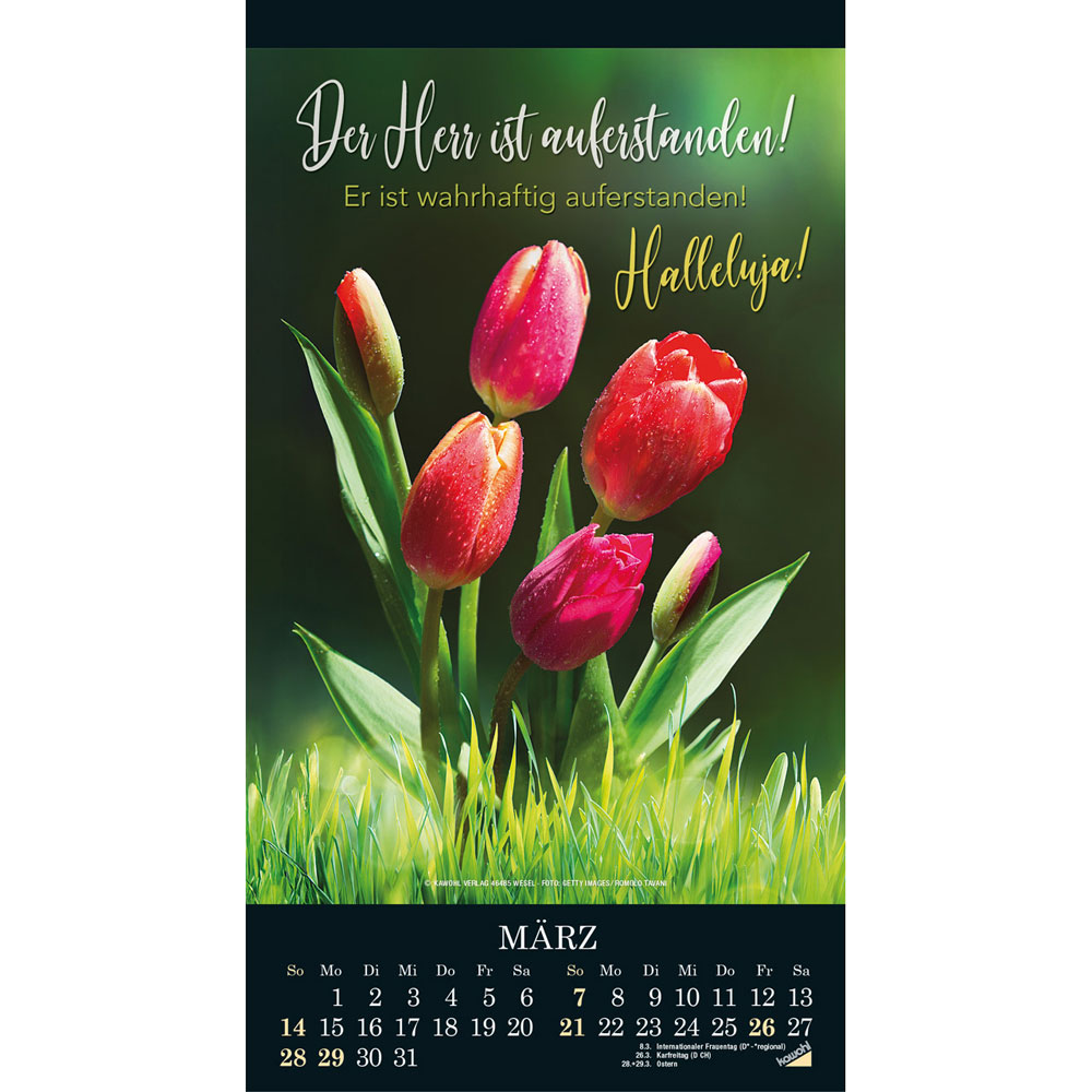 Die Wunder deiner Werke 2027 - Wandkalender