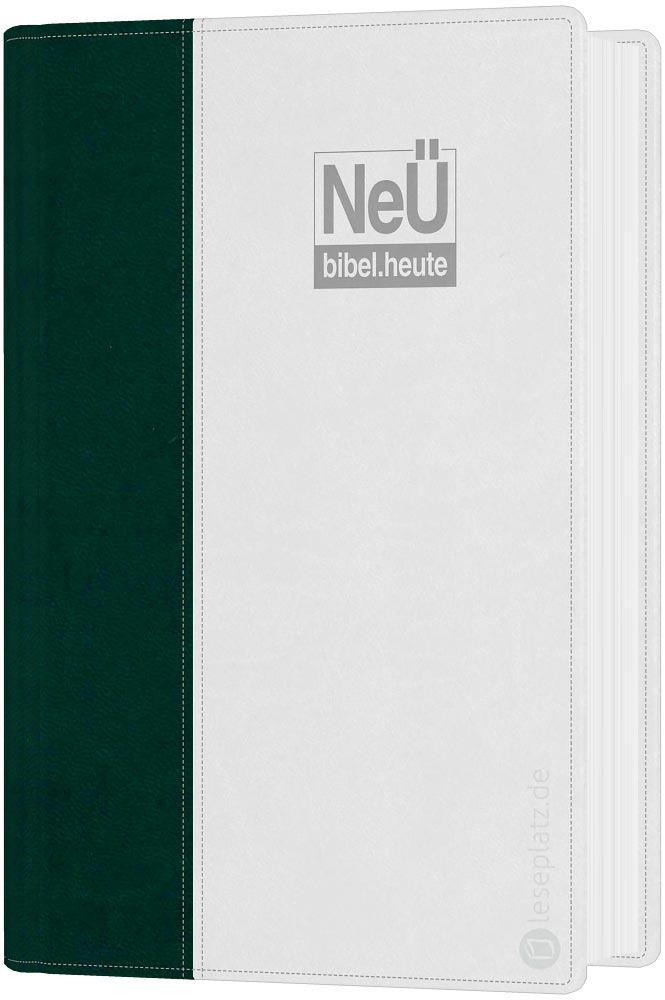 NeÜ - Standardausgabe Kunstleder grün/grau