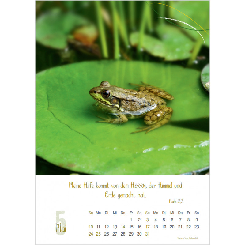 Natur 2026 - Fotokalender