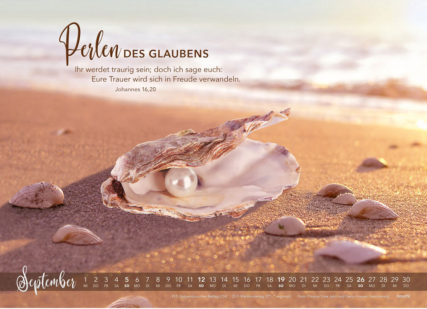 Die Liebe bleibt 2027 - Wandkalender