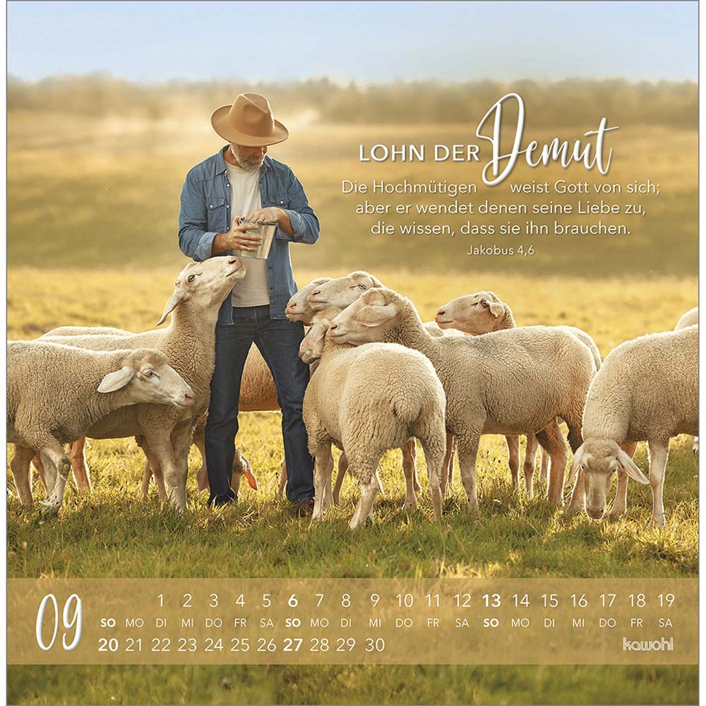 Die Liebe bleibt bestehn 2026 - Postkartenkalender