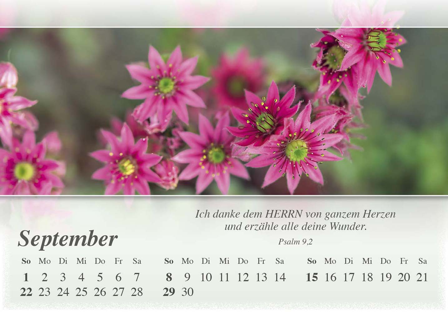 Mini Panorama Kalender 2024 Mini Panorama Kalender 2024