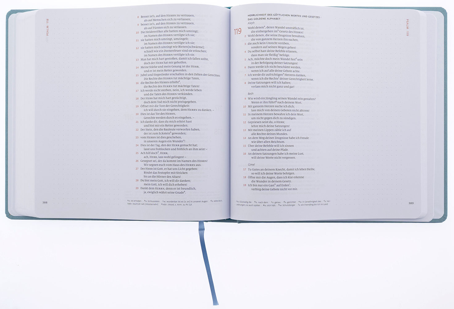 Menge 2020 (Bibel) – Journaling Edition – 4 Bände im Schuber