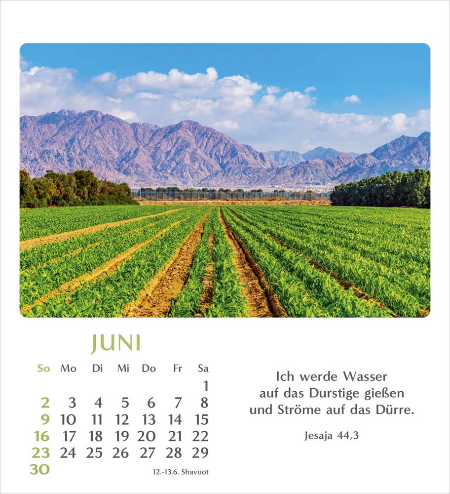 Geliebtes Israel 2024 - Verteilkalender Geliebtes Israel 2024 - Verteilkalender