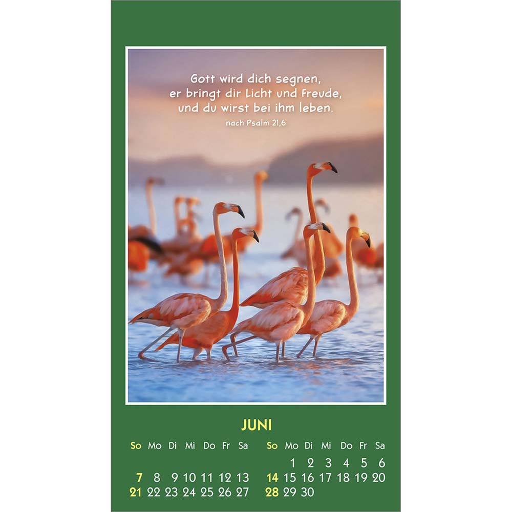 Hallo Du 2026 - Aufkleber-Kalender Hallo Du 2026 - Aufkleber-Kalender