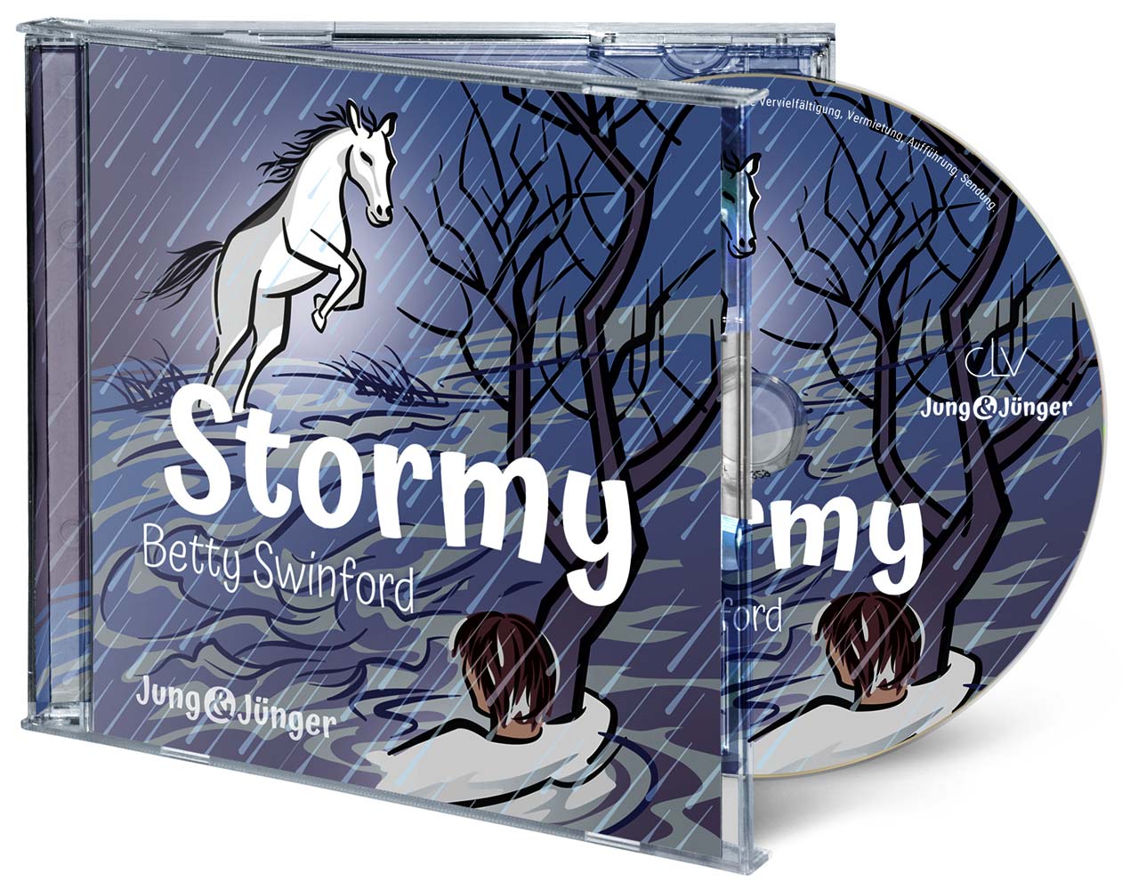 Stormy - Hörbuch
