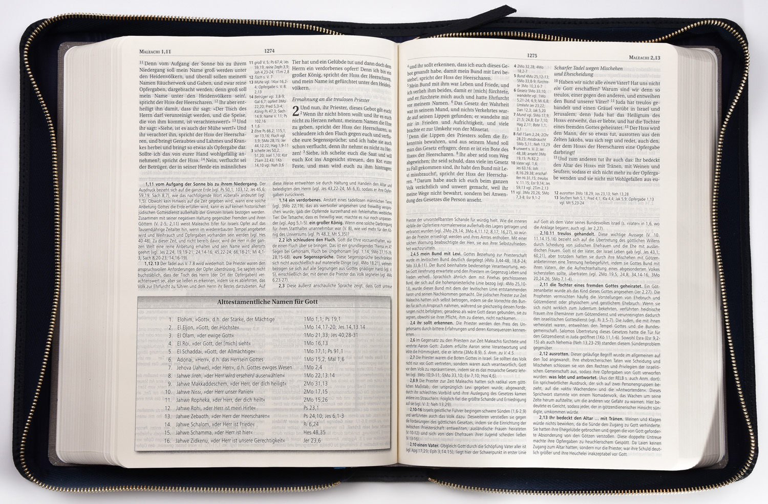 MacArthur Studienbibel mit Echtleder-Bibelhülle