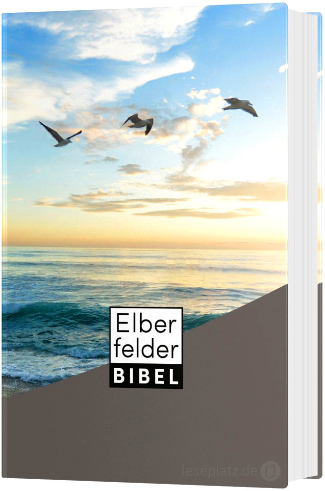 Elberfelder Bibel 2006 Taschenausgabe - Motiv Möwen