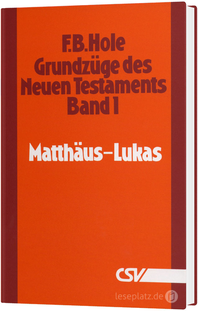 Grundzüge des Neuen Testaments - Band 1