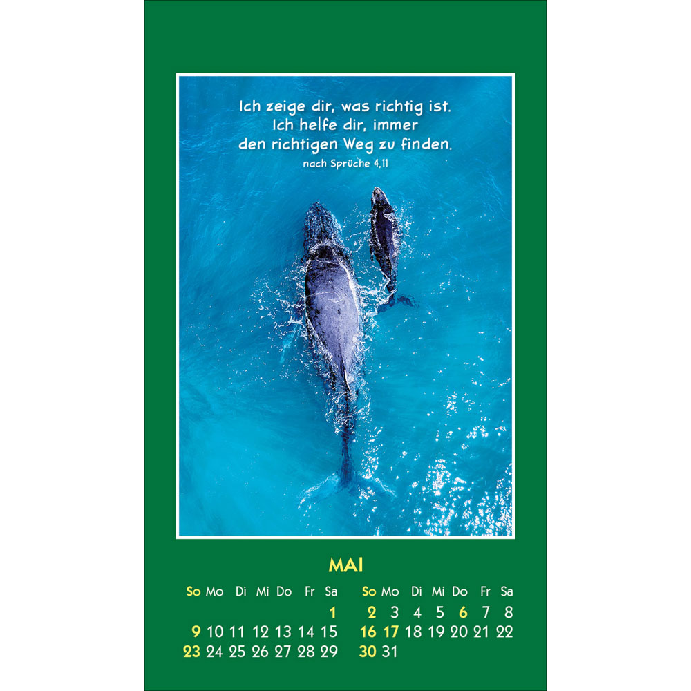 Hallo Du 2027 - Aufkleber-Kalender