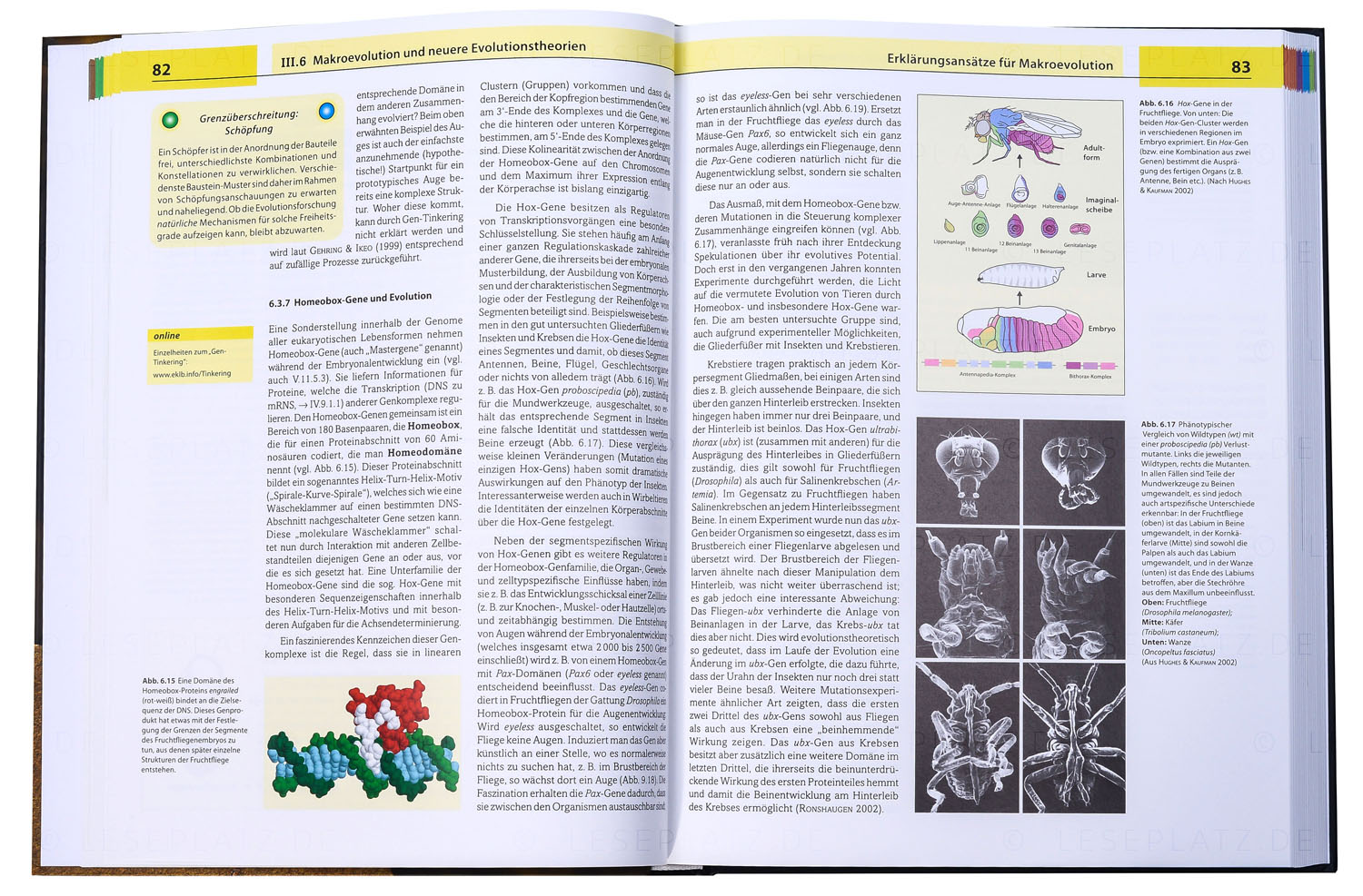 Evolution - Ein kritisches Lehrbuch