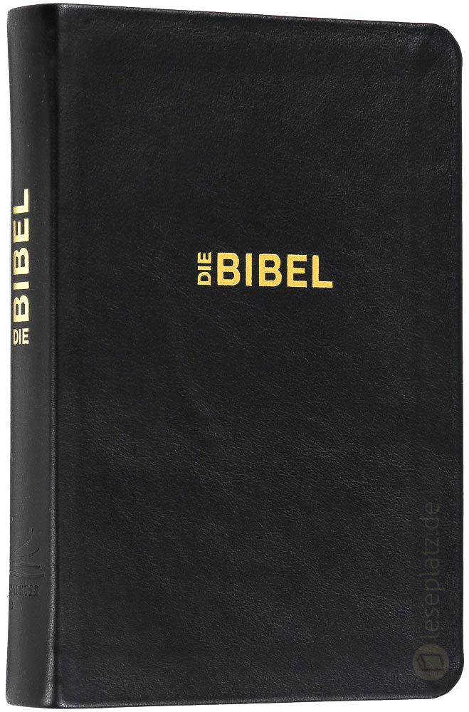 Schlachter 2000 Taschenausgabe - flex.Rindleder schwarz / Goldschnitt