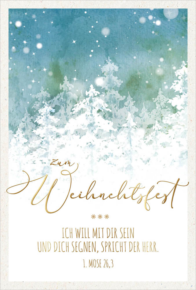 179730015W-PK-Weihnachtswald Postkarte "Weihnachtswald"