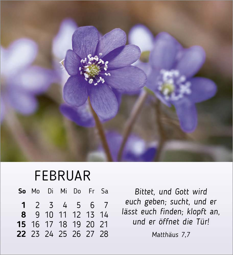 Stille Begegnungen 2026