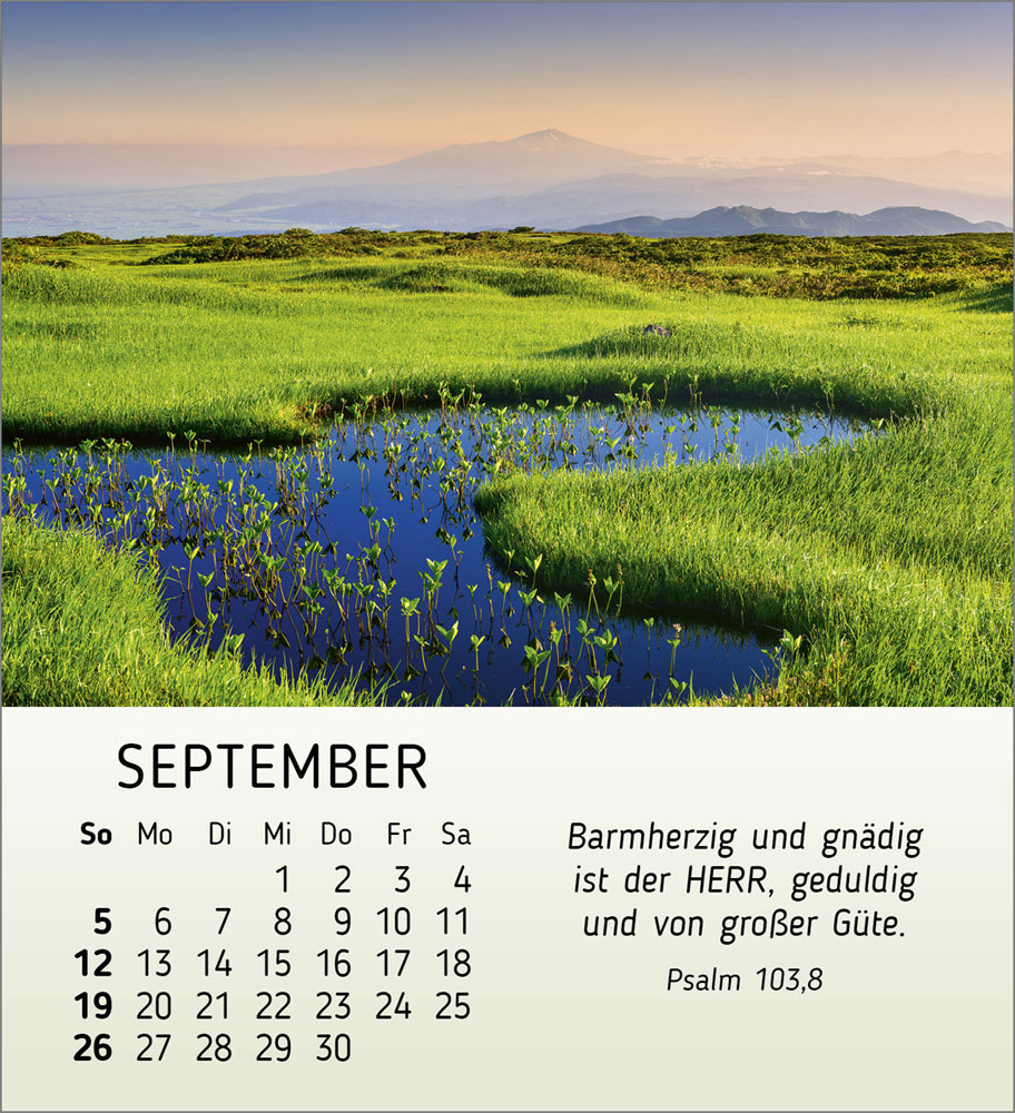 Schönheit des Lichts 2027