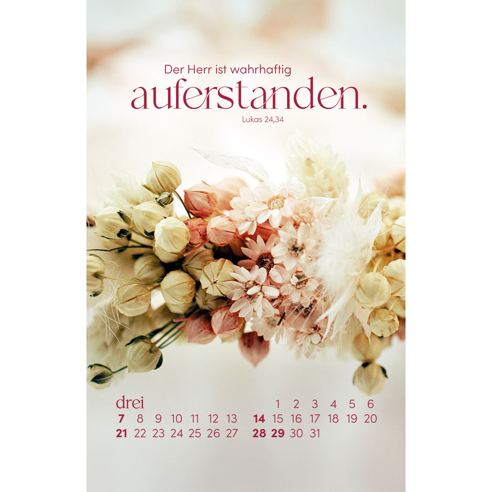 Sein Wort. Dein Fels. 2027 - Postkartenkalender mit Holzaufsteller