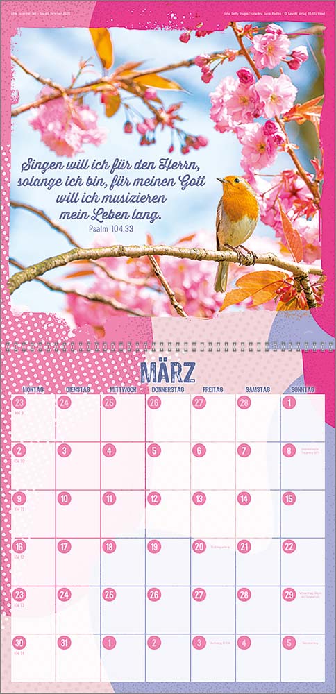 Alles zu seiner Zeit 2026