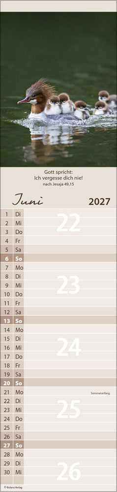 Für Euch 2027 - Streifenterminer