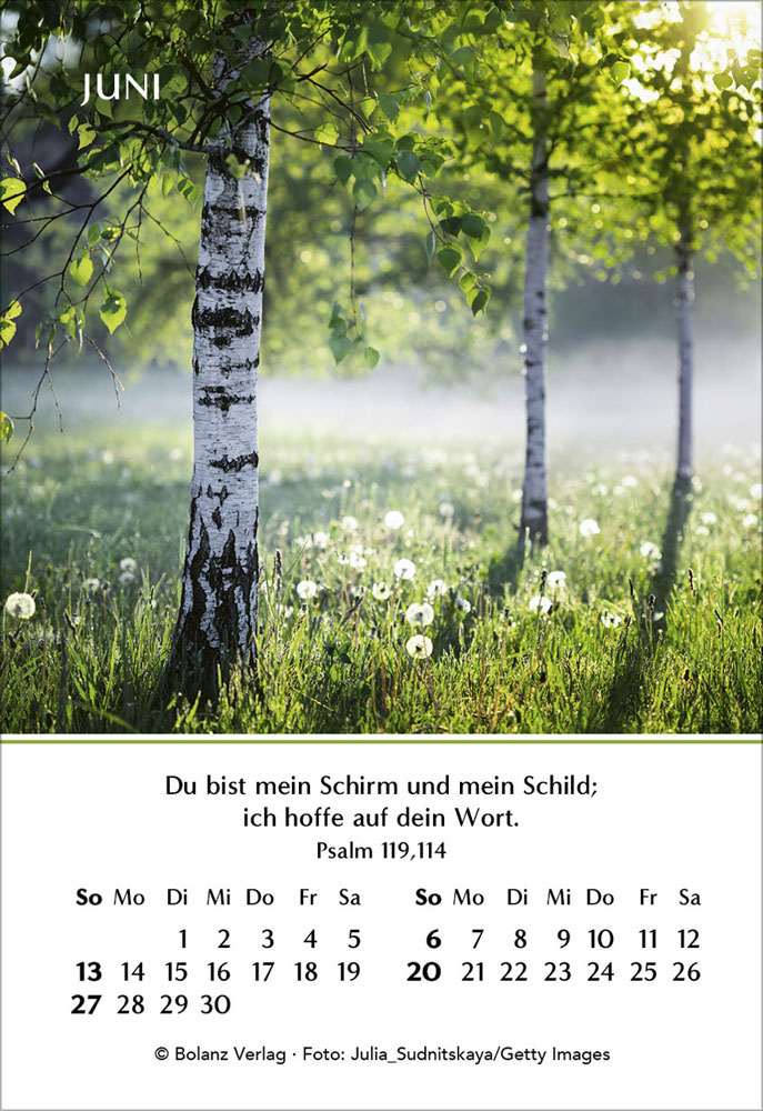 Ein Jahr der Hoffnung 2027