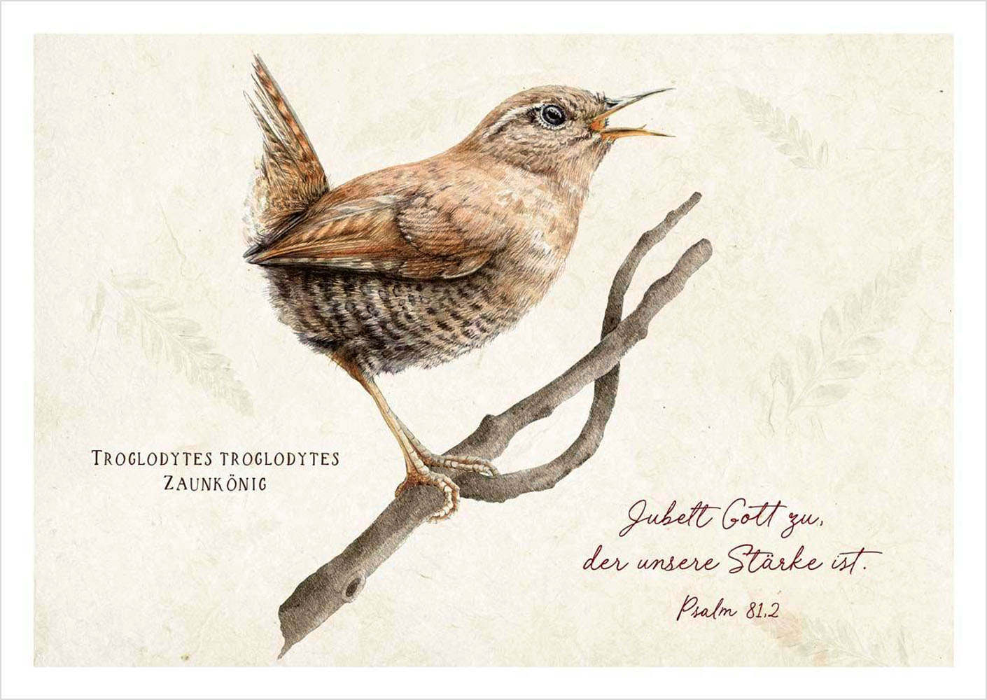 Postkarte "Jubel Gott zu" - Zaunkönig