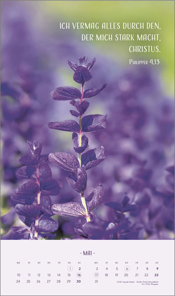 Zarte Blumengrüße 2027 - Wandkalender