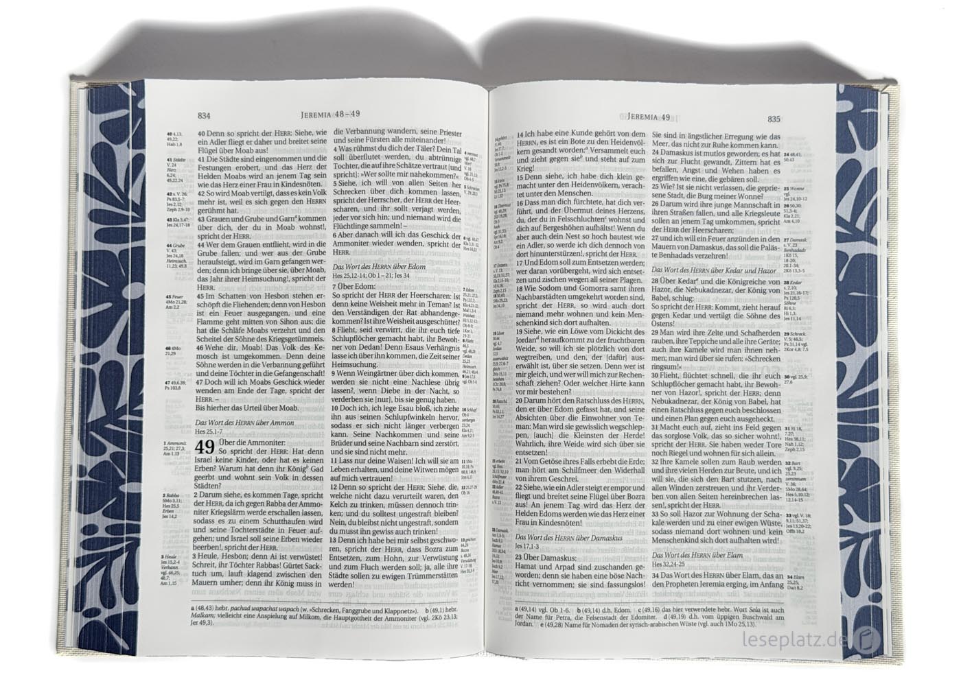 Schlachter 2000 Taschenausgabe - Hardcover / Naturleinen