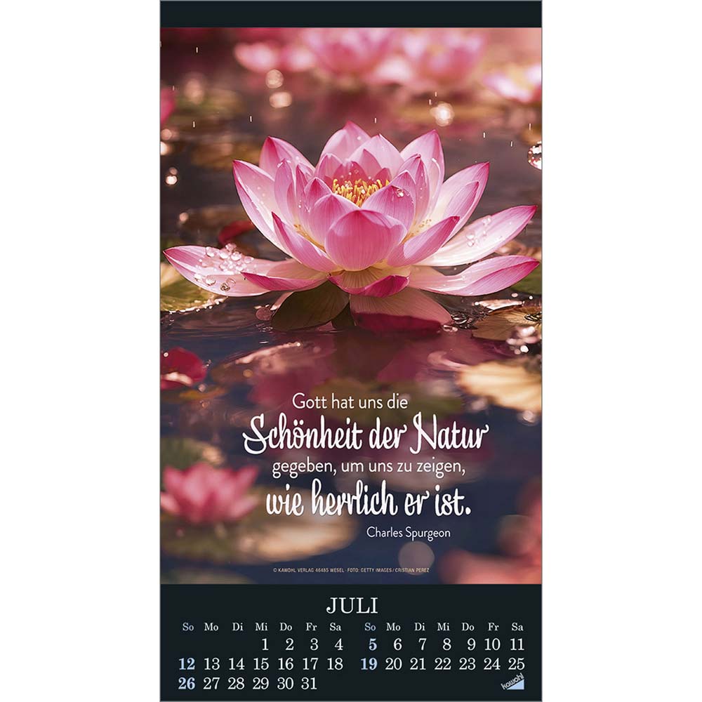 Die Wunder deiner Werke 2026 - Wandkalender
