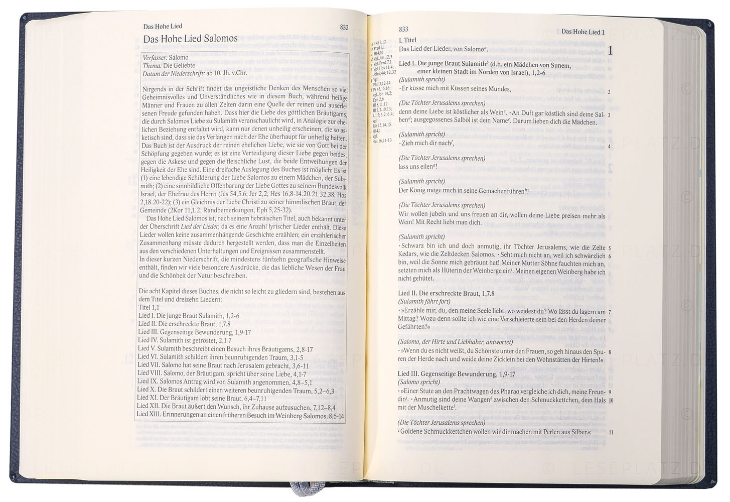 271200_04 Scofield Bibel - Kunstleder flexibel