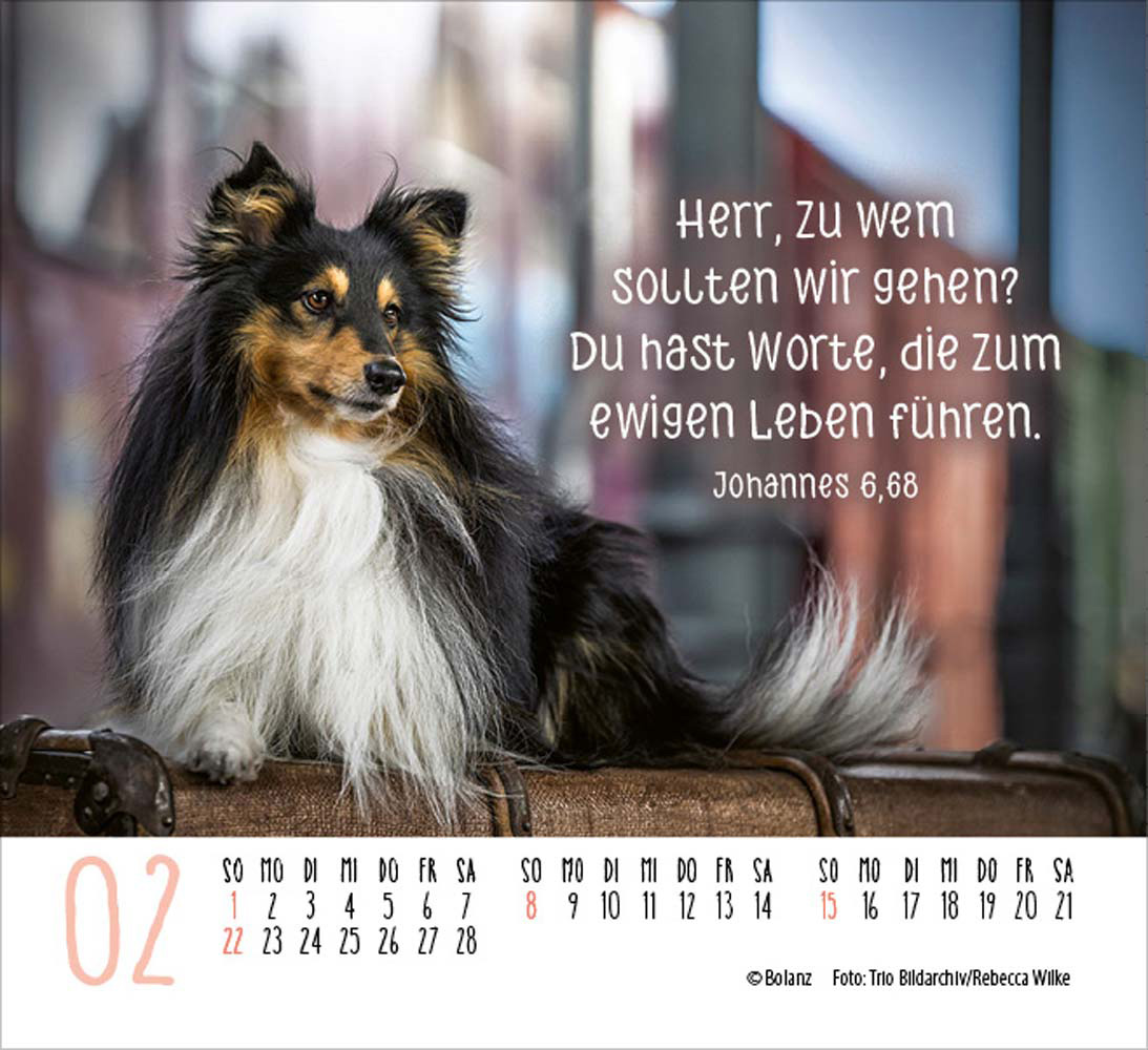 Hunde 2026 - Minikalender Hunde 2026 - Minikalender