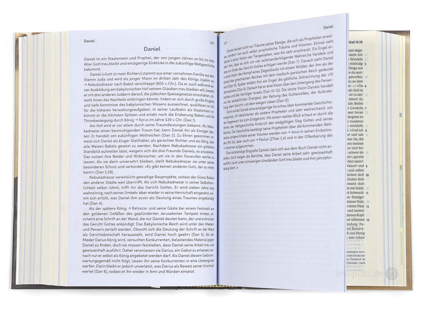 Elberfelder Bibel 2006 Taschenausgabe - mit 125 Lebensbildern biblischer Personen