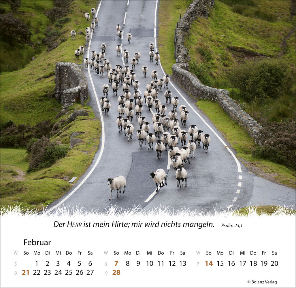Ein Leben für die Schafe 2027 - Verteilkalender