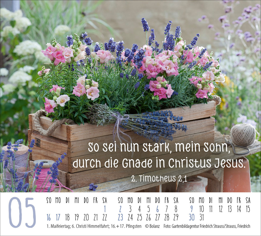 Harmonien für die Seele 2027 - Minikalender