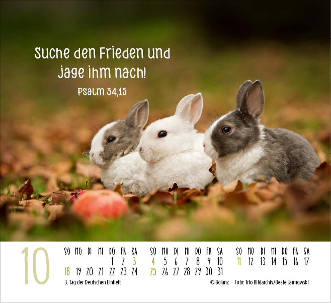 Begegnungen 2026 - Minikalender