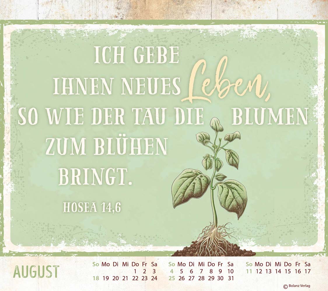 Starke Worte 2024 - Vintage - Tischkalender Starke Worte 2024 - Vintage - Tischkalender