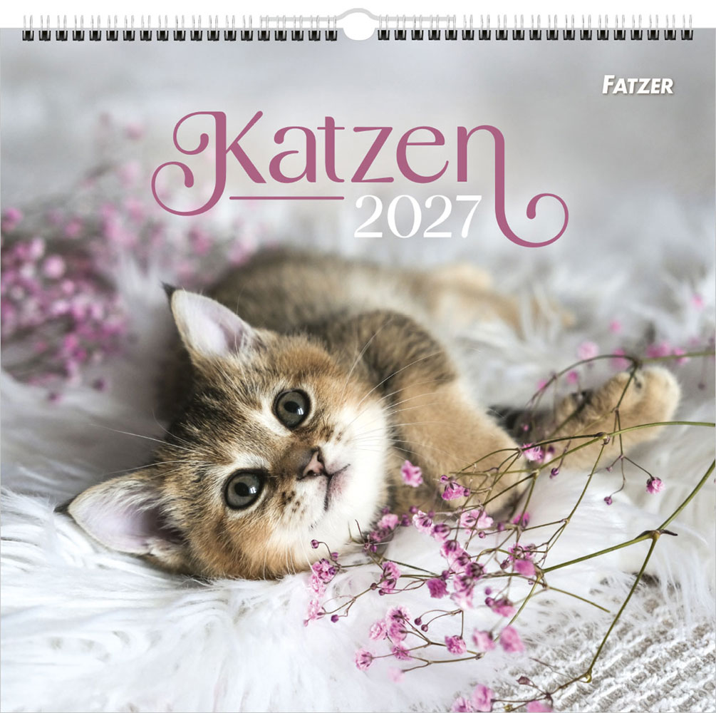Katzen 2027 - Wandkalender