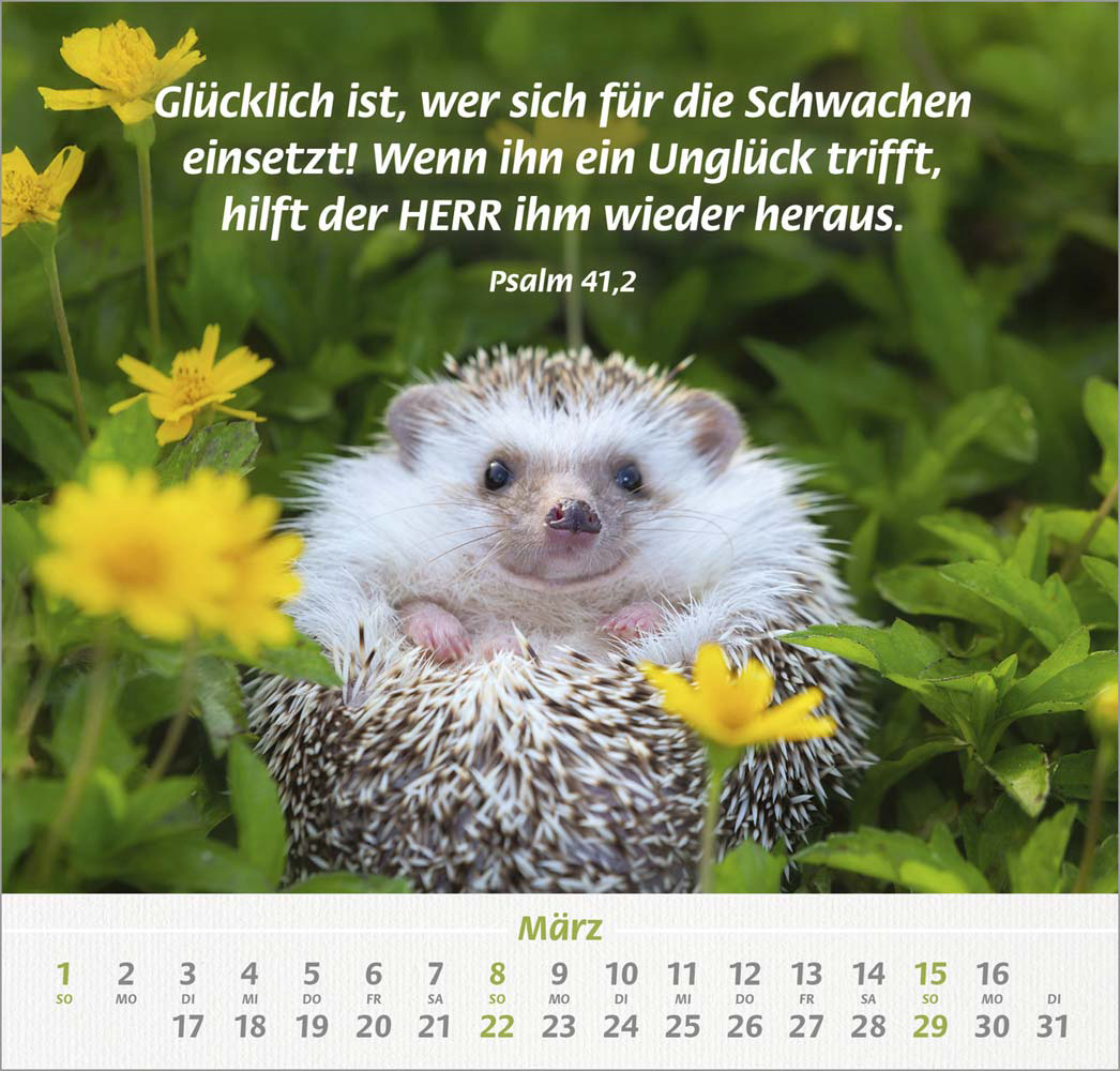 Ich hab dich gern 2026 - Wandkalender
