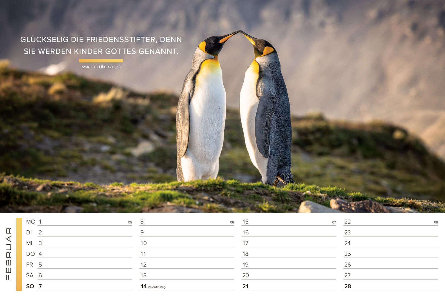 Life-is-More 2027 - Panoramakalender