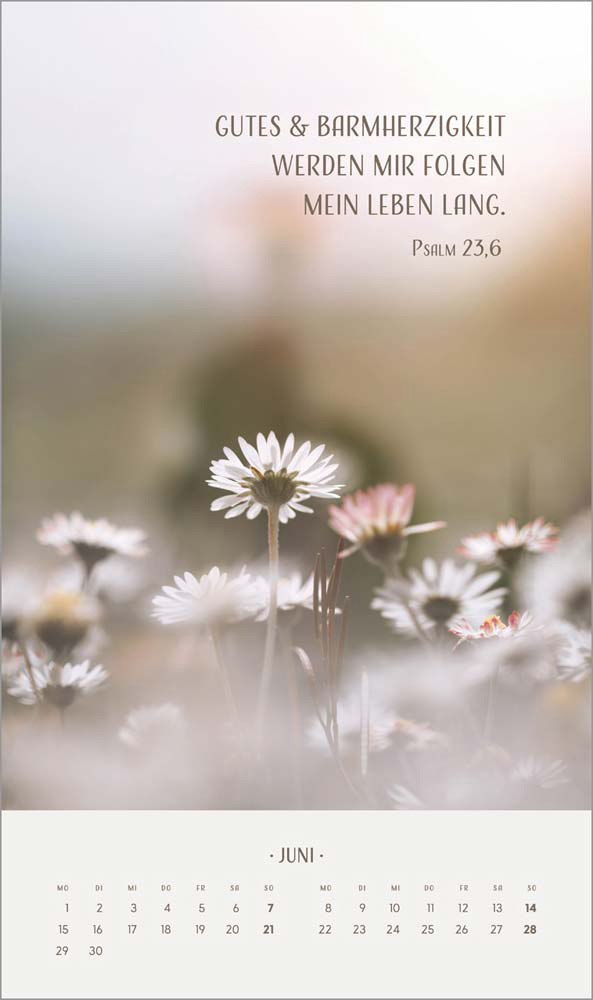 Zarte Blumengrüße 2026 - Wandkalender