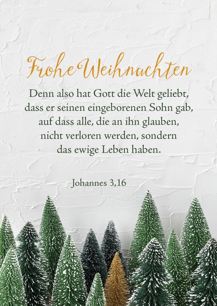 Faltkarte "Denn also hat Gott"