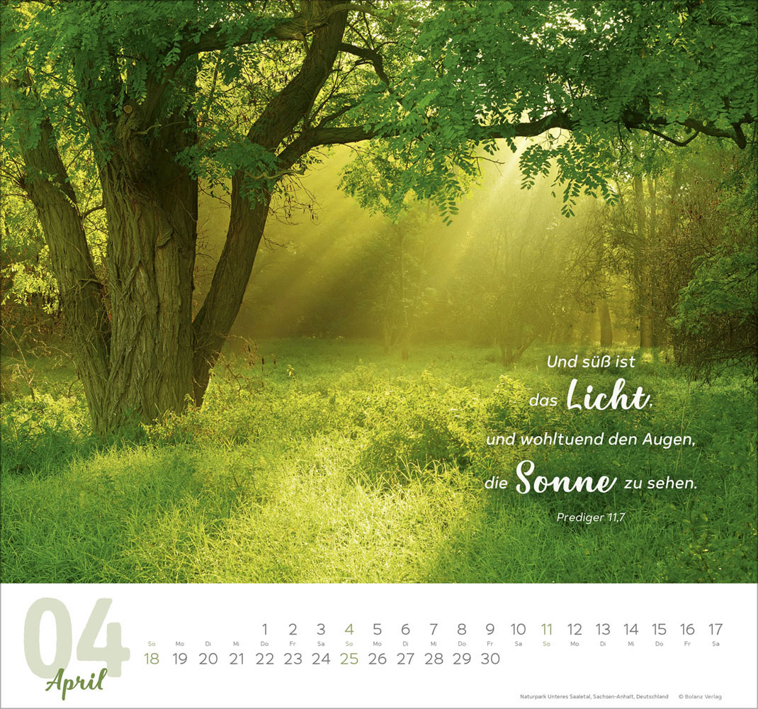 Meine Zeit 2027 - Wandkalender