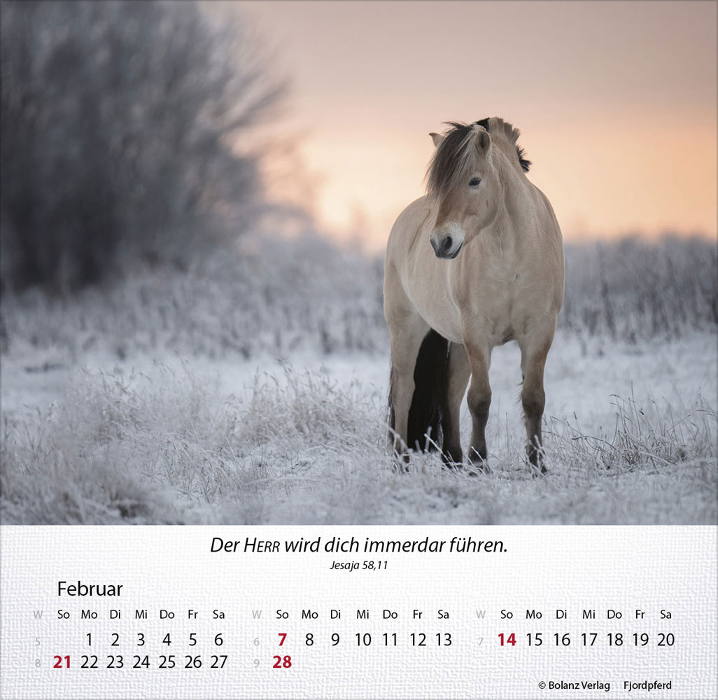 Pferde 2027 - Tischkalender
