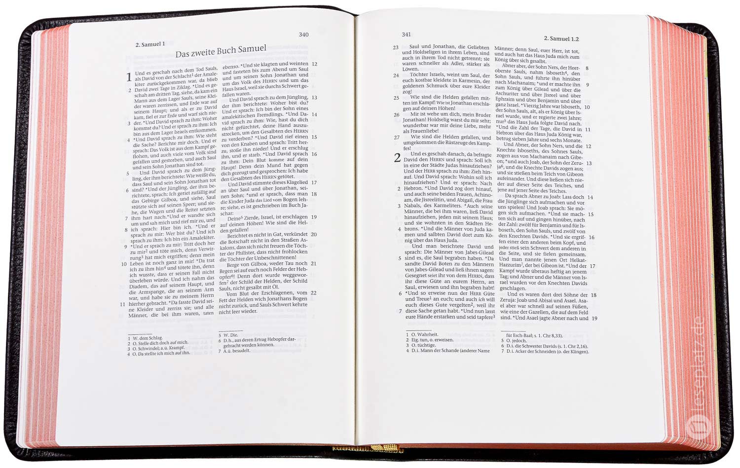 Elberfelder 2003 - gr.Schreibrandausgabe / Leder dunkelbraun Rotgoldschnitt