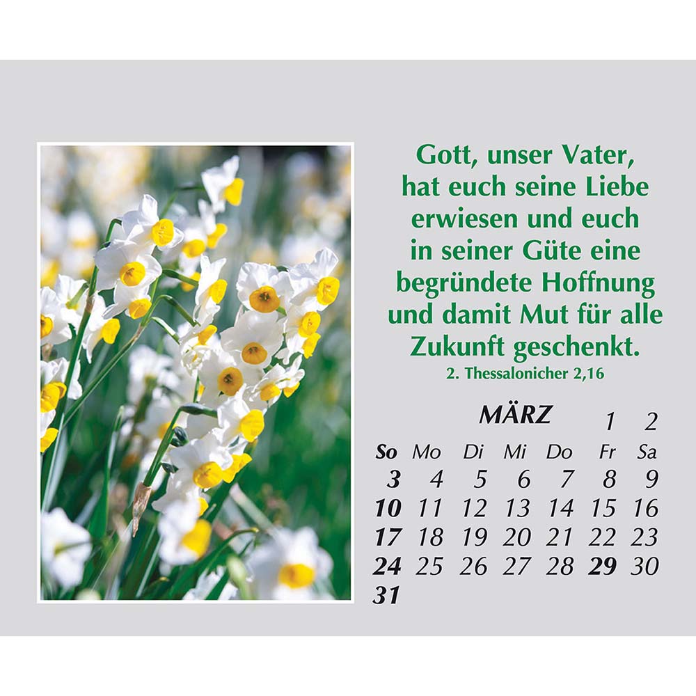 Freude für jeden Tag 2024 Freude für jeden Tag 2024