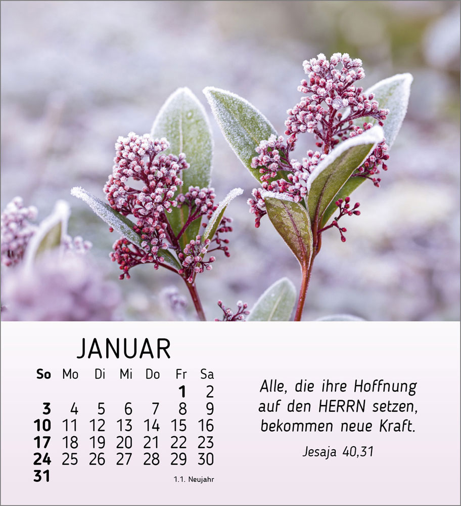 Ich wünsch Dir Freude 2027